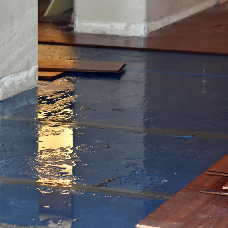 Water Damage Restoration